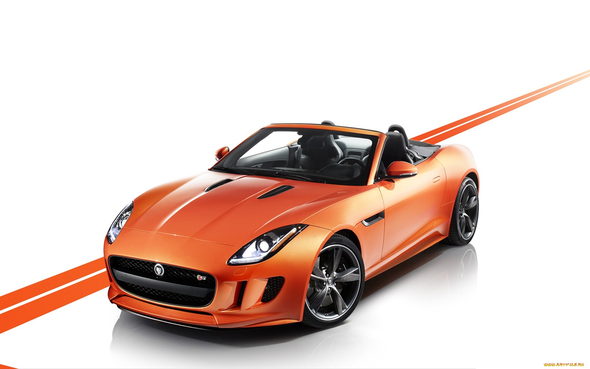 , jaguar